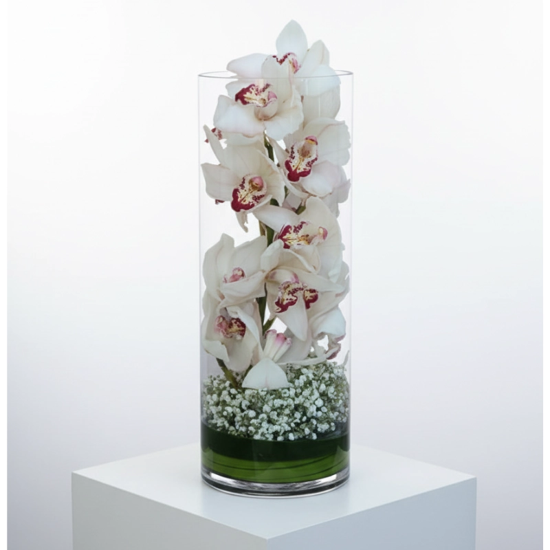 Long White Cymbidium